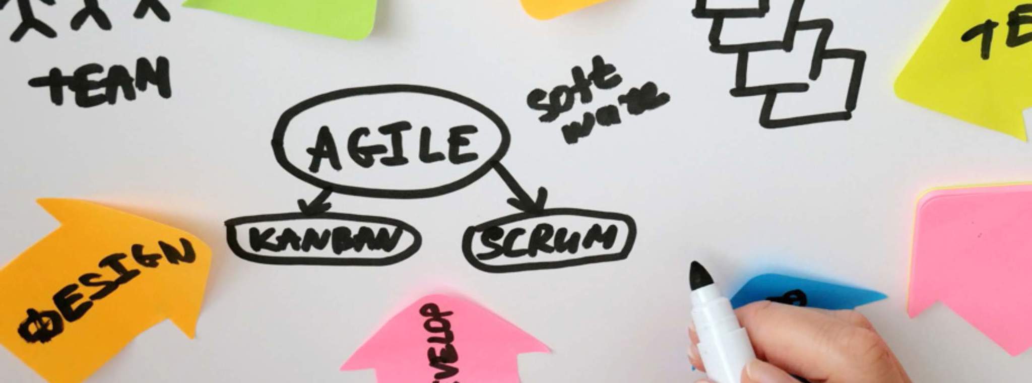 An image of agile training and the different disciplines that feed into it 