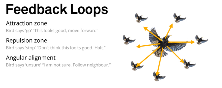 Diagrammatic image explaining how starlings use feedback loops within their murmuration