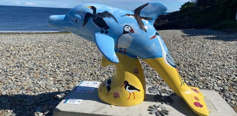 An image of Hannah's dolphin 'Bird Life' in situ on Cornaa Beach