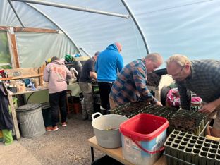 A photo of the PDMS team at work in the Miltown Nursery polytunnel